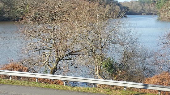 location avec belle vue etang
