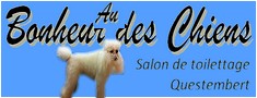 chien chiot, chat, pour chien, pour chat, toilettage, épilation chat, coupe pour chien, questembert, 56