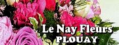 Commerce fleurs Plouay 56